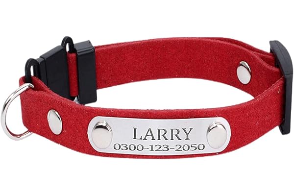 Yonsbox Collier pour Chat Detachable Personnalisé Anti Étranglement avec Grelot Clochette Identification Sécurité Reglable Collier Médaille Chat Petit Chaton Male Femelle Rouge avec Gravure Nom