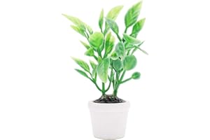 Odoria 1/12 Scale Dolls House Miniature Garden Plants Dollhouse Accessories