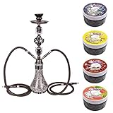 DXP Wasserpfeife Shisha 2 Schläuchen inkl. Kohlezange, Zubehör mit Blaubeere ,Banane , Kirsche, Wassermelone 4 Shiazo Dampfsteine Shisha Stein Granulat Nikotinfreier Tabakersatz