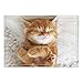 Produktbild JoneAJ Die Lovely Cat Sleeping Hintergrundmuster-Flanell-Bodenmatten-Badeteppiche verhindern das Verrutschen und Schleudern des superabsorbierenden 3D-Drucks 60x40cm