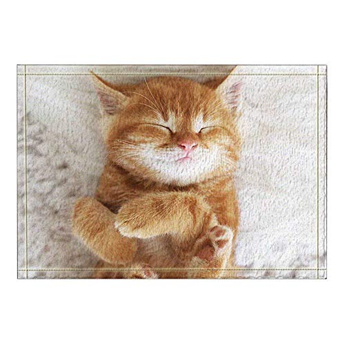 Preisvergleich Produktbild JoneAJ Die Lovely Cat Sleeping Hintergrundmuster-Flanell-Bodenmatten... verhindern das Verrutschen und Schleudern des superabsorbierenden 3D-Drucks 60x40cm