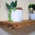 Waney/Live Edge Chunky Rustic Floating Shelf 9x2, Natural Oak, 80cm