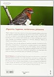 Image de Jilgueros, luganos, verderones, pinzones (Animales)