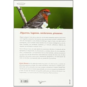 Jilgueros, luganos, verderones, pinzones (Animales)