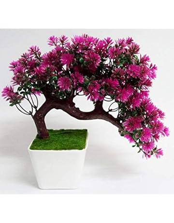 Artificial Plants Buy Artificial Plants Online At Best - 