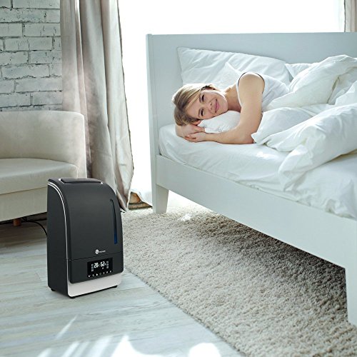 Luftbefeuchter TaoTronics Ultraschall 105W 6L Befeuchter Warm & Kalt Dampf Luftfilter mit LED-Display, separater Behälter für ätherische Öle, Nachtmodus - 5