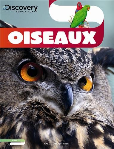 Oiseaux