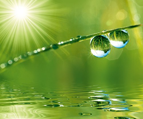 Eurographics DGS-DT1366 A New Day Breaks ESG-Küchenspritzschutz, Glas, mehrfarbig