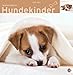 Hundekinder 2010. Broschurkalender: Multipicture mit Texten & Poster by