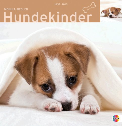 Hundekinder 2010. Broschurkalender: Multipicture mit Texten & Poster