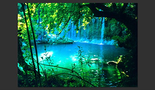 FOTOTAPETE 250×175 cm – VLIES TAPETE PREMIUM – PROFI QUALITÄT – Top moderne Wanddeko – Riesen Wandbild – Top Design Tapete – Neue exklusive Edition mit noch besser Druckauflösung – Deutsches Premium Vlies – Natur Landschaft Wasserfall c-B-0132-a-a - 4