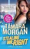 Cover zum Buch Stealing Mr: Right