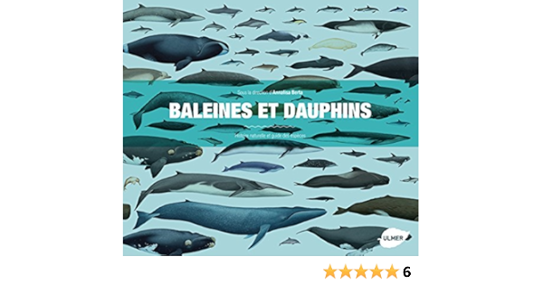 Amazon Fr Baleines Et Dauphins Histoire Naturelle Et Guide Des Especes Berta Annalisa Livres