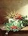 Produktbild Alu-Dibond-Bild 90 x 110 cm: "Still Life of Strawberries, Carrots and Cabbage", Bild auf Alu-Dibond