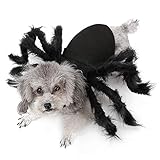 💀 PERFEKTE HALLOWEEN-KOMBINATION. EINZIGARTIGE HALLOWEEN-DEKORATIONEN IM FREIEN 2019. Sie schaffen eine einzigartige Atmosphäre, die Sie so schnell nicht vergessen werden.