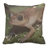 Manta lino funda de almohada árbol de rana rana 18 'cuadrado fundas de cojín