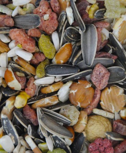 12.55 kg Dawn Chorus Fruitti Parrot Food
