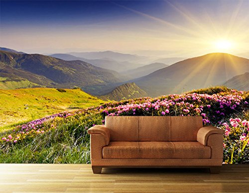 Vliestapete Bergrücken im Sonnenlicht VT511 Größe:400x280cm, Fototapete, Vlies Tapete, High Quality, PREMIUM Bildtapete, Tapete Berge Sonne Blumen