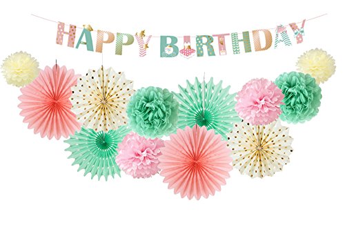 Easy Joy Decoration Anniversaire Menthe Creme Rose Rosace Papier Pompom de Soie + Happy Birthday Banner pour Fille - 13pcs
