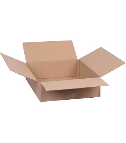 Propac Z-box312210 Versandkarton – 31x22x10 Cm, 2 Wellen, Kraftpapier, 15 Stück, Robust Und Stapelbar