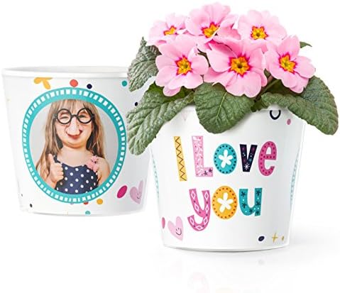 I Love You gifts - Flower pot (ø16cm) for Nan, Grandad, Mummy, Auntie or Dad with a photo frame for two photos (6x4 inch)