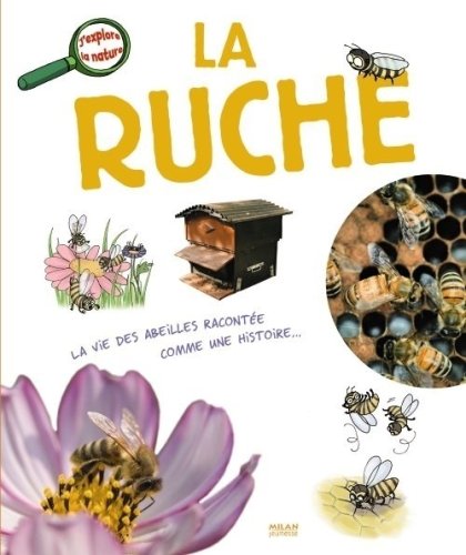 <a href="/node/22085">La ruche</a>