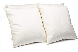 H&F Heimtextilien 4-częściowy zestaw poduszek z pierza, 40 x 40 cm, wypełnienie poduszki 300 g, 100% pierza, poduszka z certyfikatem Öko-Tex, poszewka 100% bawełna