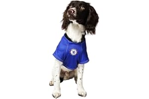 Dogsy Official Chelsea Dog Shirt | Chelsea Shirt for Dogs | Chelsea FC | Chelsea Kit for Your Dog | Football Dog Shirts (Large)