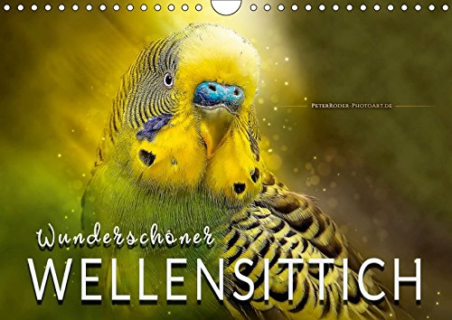 Wunderschöner Wellensittich (Wandkalender 2019 DIN A4 quer): Eindrucksvolle Bilder der beliebten Vögel. (Monatskalender, 14 Seiten ) (CALVENDO Tiere)