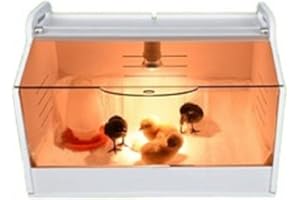 BTV Küken Wärmeplatte Kükenheim Kükenwärmebox Kükenhaus 48x30x33cm