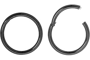 365 SLEEPERS 2 pièces en acier inoxydable 16G unisexe cerceau à charnière segment lèvre nez anneau Helix Tragus Septum boucles d'oreilles dormeuses 6mm - 16mm