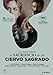 El sacrificio de un ciervo sagrado [DVD]