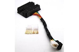 DUC OR DIE Regolatore a tre fasi MosFet per anno di costruzione 1998-2011 LiFEPo per Ducati