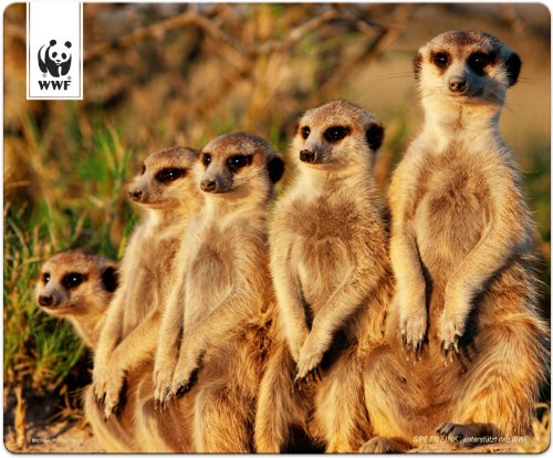 SPEEDLINK Terra WWF Erdmännchen Mauspad