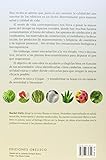 Image de Plantas beneficiosas y descontaminantes / Beneficial and Decontaminant Plants: Para La Salud Y El Medio Ambiente