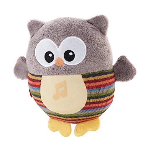 Mattel Fisher-Price CMT32 – Leuchtende Kuschel-Eule mit sanfter Musik, braun - 4