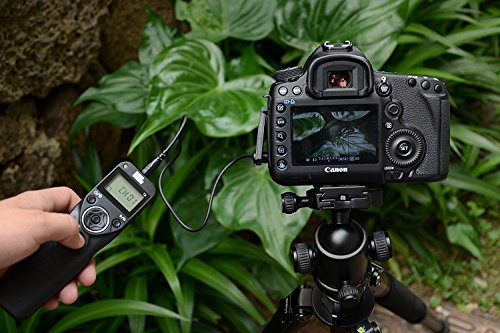 Pixel T9 DC2 LCD FSK 2 4GHz D  clencheur filaire et sans fil T  l  commande avec deux c  bles pour Nikon D800 s  rie D810 s  rie 300series D300s D700 D300 D7200 D7100 D7000  DC0 DC2 