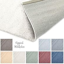 Suchergebnis auf Amazon.de für: teppich 200x200 kurzflor