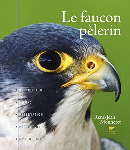 Télécharger Le faucon pèlerin PDF
