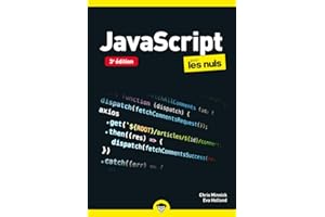 JavaScript Pour les Nuls Poche - 3e édition