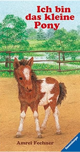 Ich Bin Das Kleine Pony Amazon De Fechner Amrei Fechner Amrei Bucher