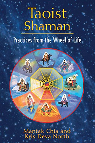 Taoist Shaman: Practices from the Wheel of Life (English Edition)