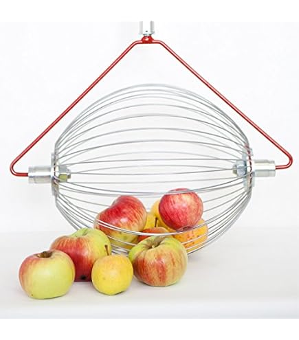 Collecteur De Noix à Roulettes Avec Manche Télescopique - Ramasse Fruits Et Noix Sans Se Baisser, Jusqu'à 120 Cm