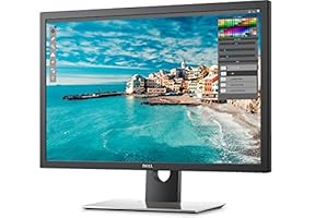 Dell UP3017 75,62 cm (30 Zoll) Monitor LED (VESA (100 mm, 6ms Reaktionszeit, höhenverstellbar) schwarz