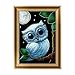 Produktbild dairyshop DIY 5D Diamant Stickerei Malerei Eule Set Craft Home Decor