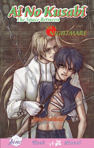 Ai No Kusabi The Space Between Volume 3: Nightmare (Yaoi Novel)