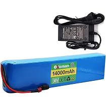 Batteria Bici Elettrica 36V 20Ah - Litio 10S2P, Con BMS E Caricabatteria, Per Scooter Elettrico