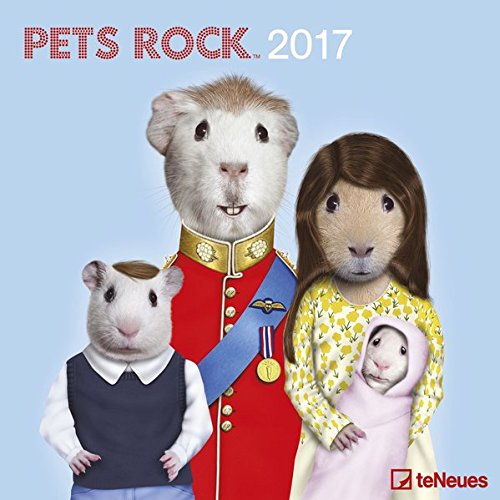 Pets Rock 2017 - Lifestylekalender 2017, Tierkalender, Broschürenkalender, Humorkalender 2017, Wandkalender - 30 x 30 cm