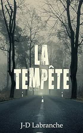 La Tempete Ebook Labranche J D Amazon Fr