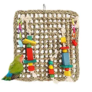 BSMTech Bird Activity Wall, Bird Foraging Wall Toys for Birds Parrots Parakeet Cockatoo Hanging Foraging Wall Sea Grass Bird Climbing Net, 11.8x11.8?